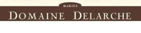 (image for) Marius Delarche PERNAND VERGELESSES BLANC SOUS FRETILLE 2016 [GL ]